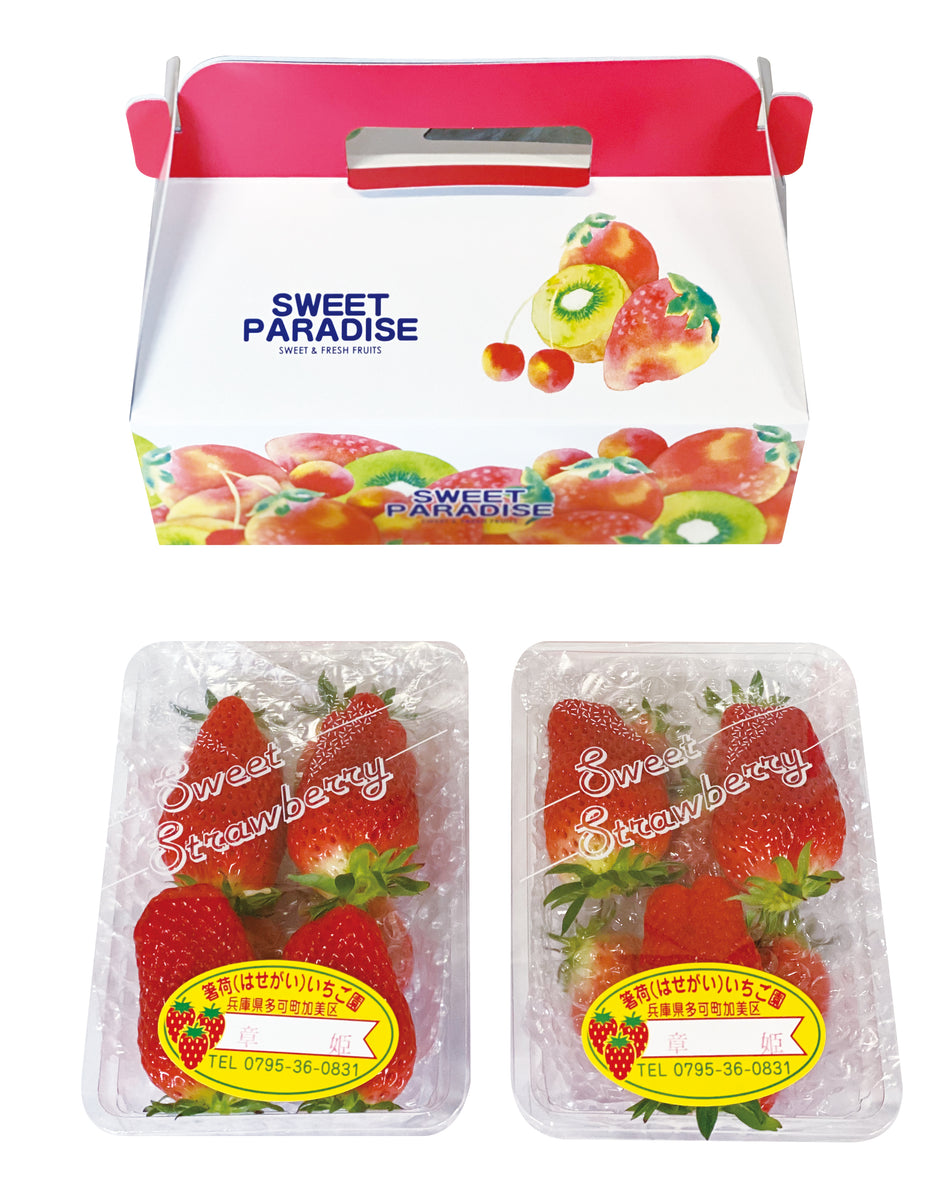 手さげ 2パック – 箸荷いちご園