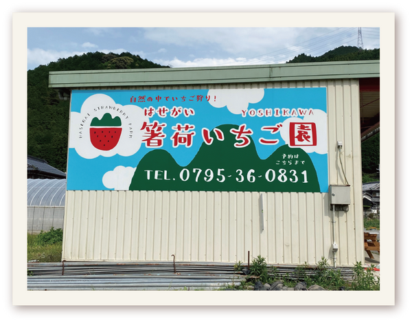 いちごがりの予約